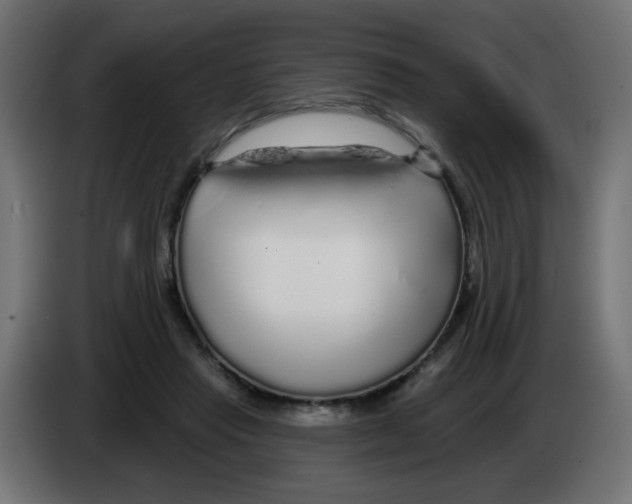 X0000083020453200703022008