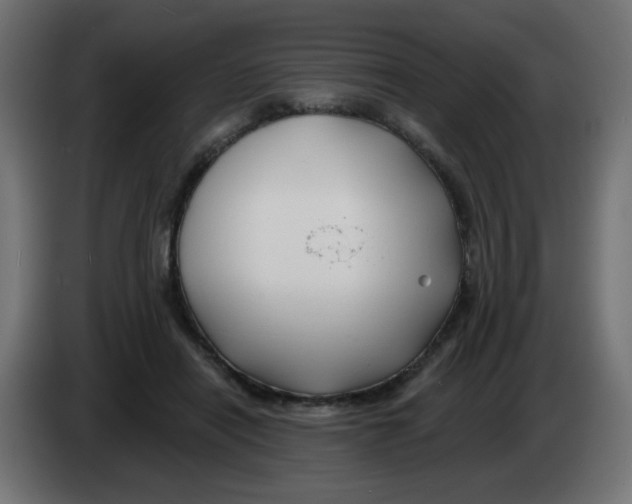 X0000083020454200703022008