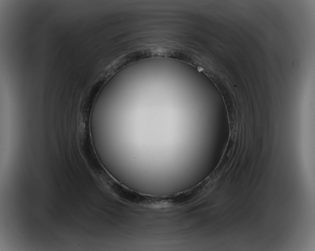 X0000083020456200703022008