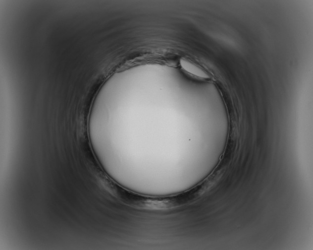 X0000083020457200703022008