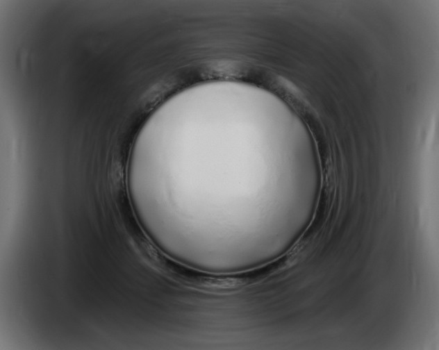 X0000083020459200703022008