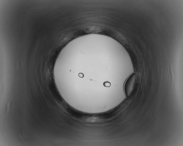 X0000083020460200703022008