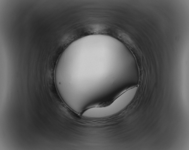 X0000083020461200703022008