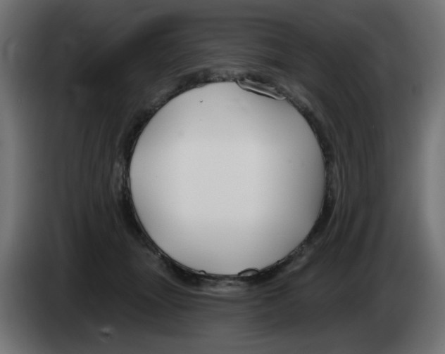 X0000083020463200703022008