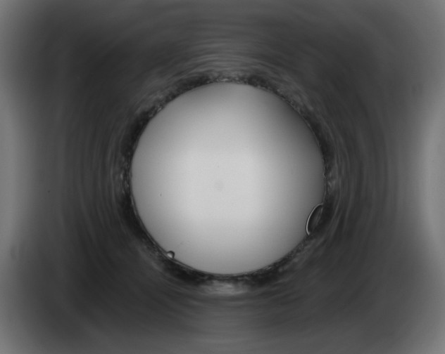 X0000083020464200703022008