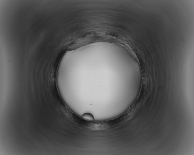 X0000083020466200703022008