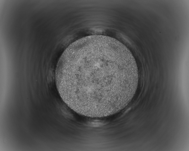 X0000083020467200703022008