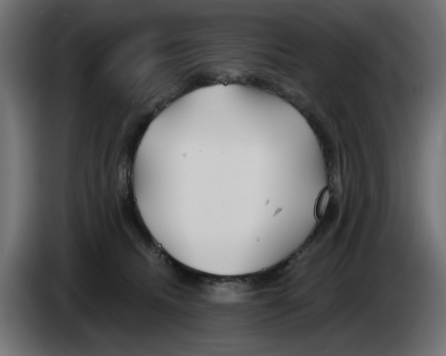 X0000083020468200703022008