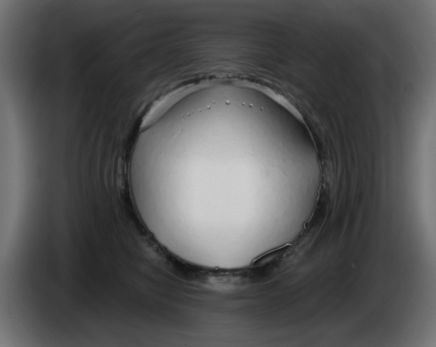 X0000083020470200703022008