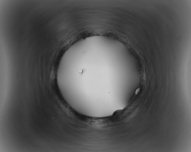 X0000083020472200703022008