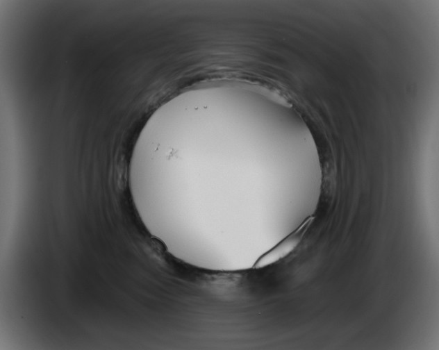 X0000083020474200703022008