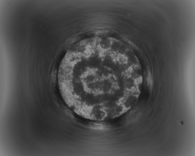 X0000083020475200703022008