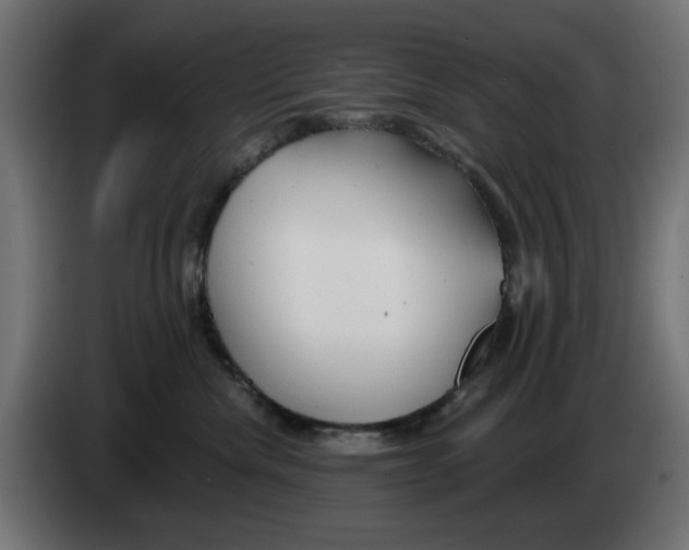 X0000083020476200703022008