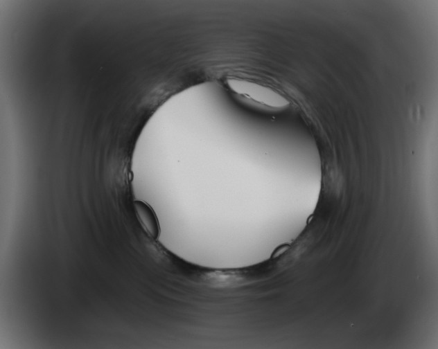 X0000083020477200703022008