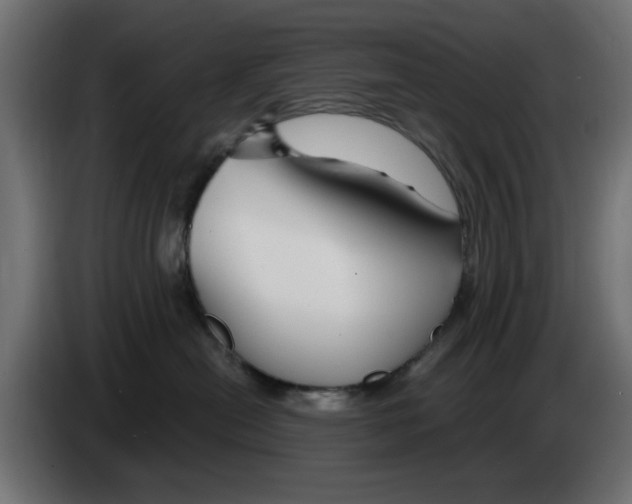 X0000083020478200703022008