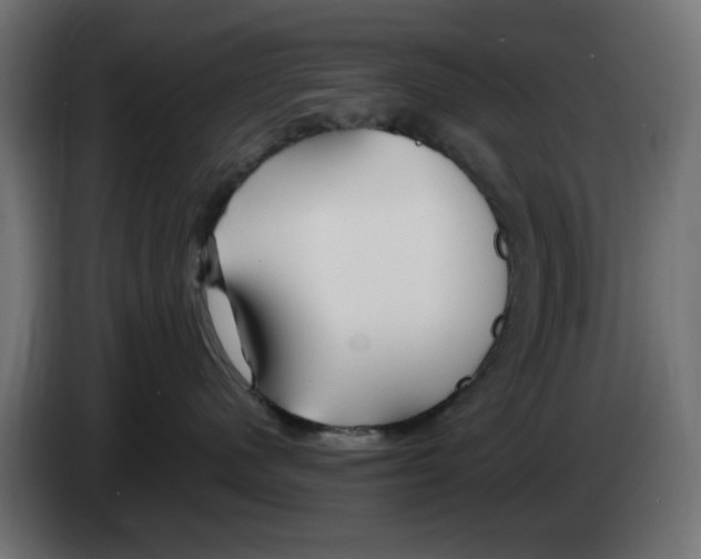 X0000083020480200703022008