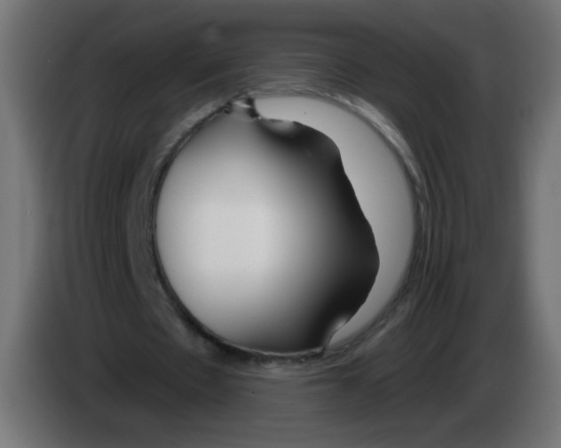 X0000083020481200703022007