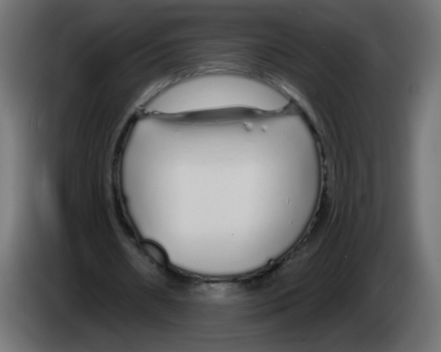 X0000083020482200703022007