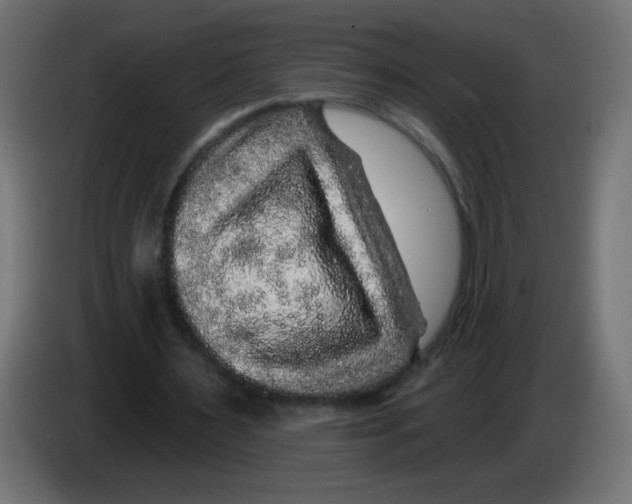 X0000083020483200703022007