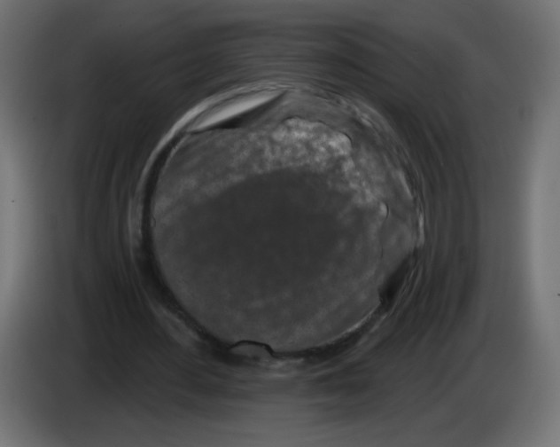 X0000083020484200703022007