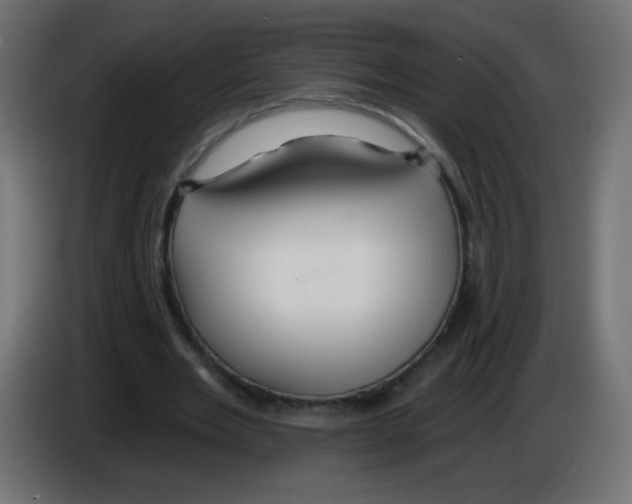 X0000083020485200703022007