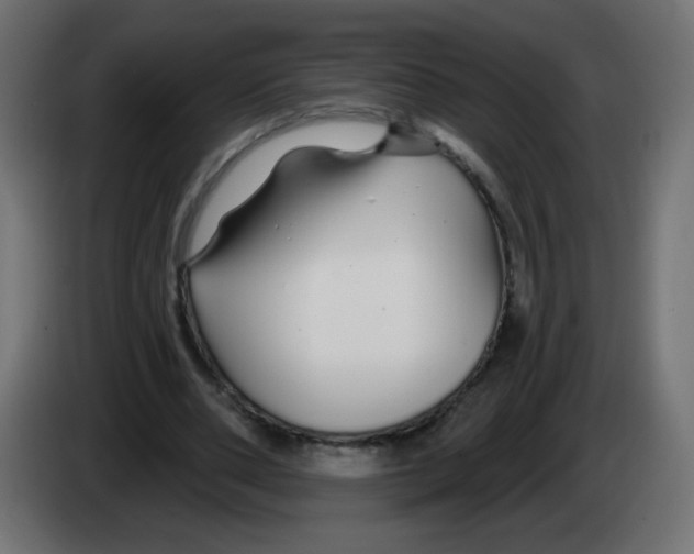 X0000083020486200703022007