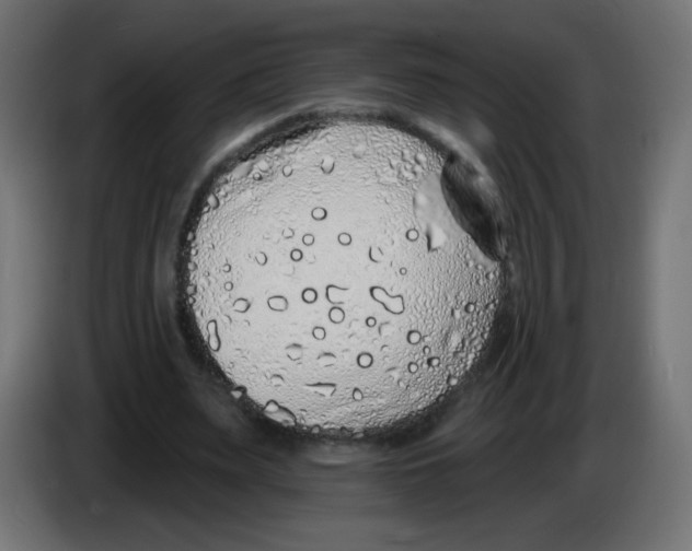 X0000083020487200703022007