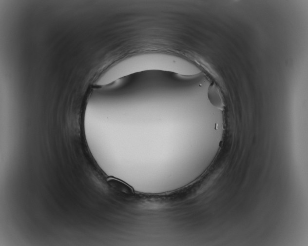 X0000083020489200703022007