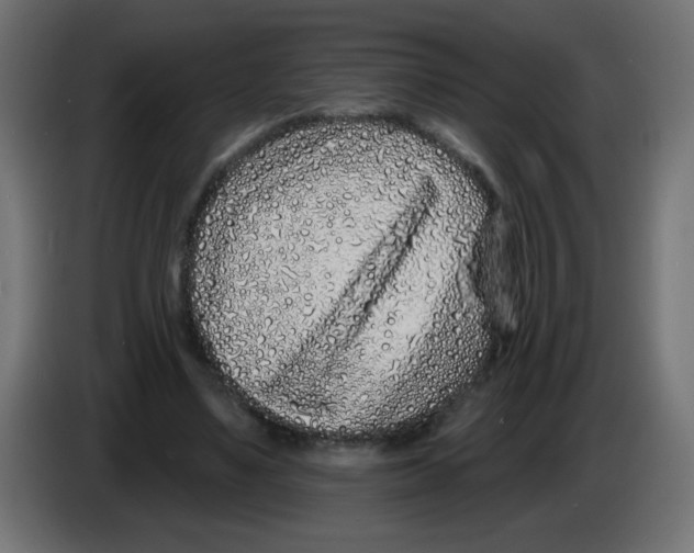 X0000083020491200703022007