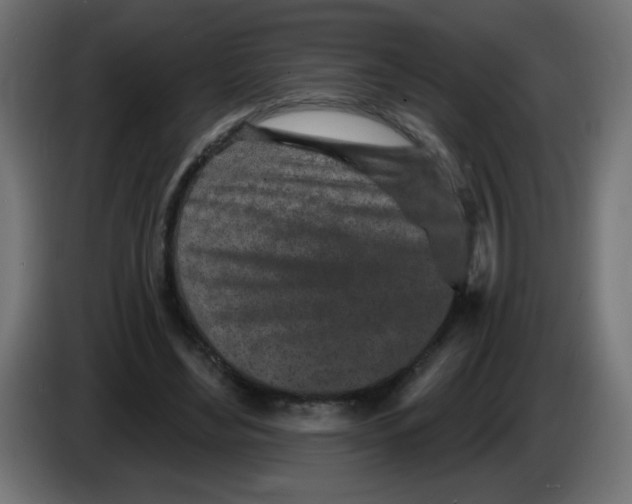 X0000083020492200703022007