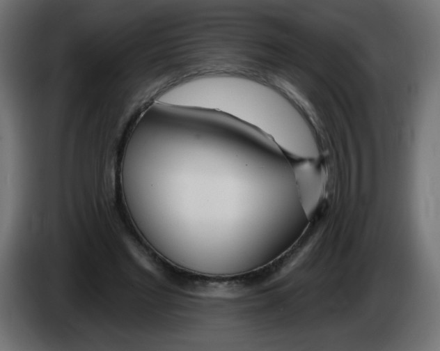 X0000083020493200703022007