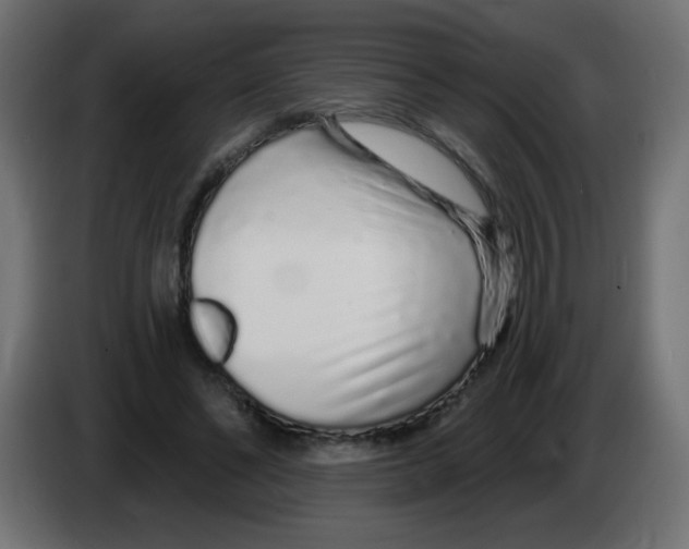 X0000083020494200703022007