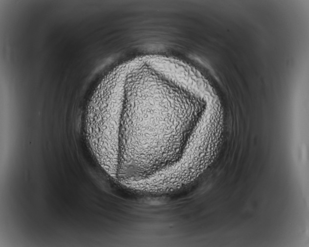 X0000083020495200703022007