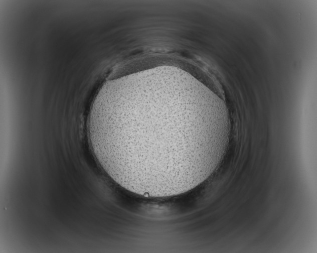 X0000083020498200703022007