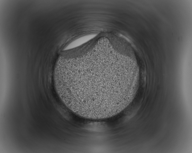 X0000083020499200703022007