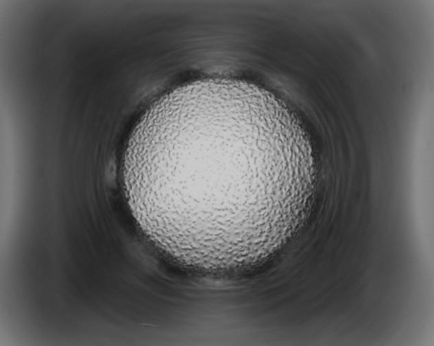 X0000083020502200703022007