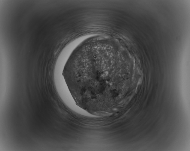 X0000083020504200703022007