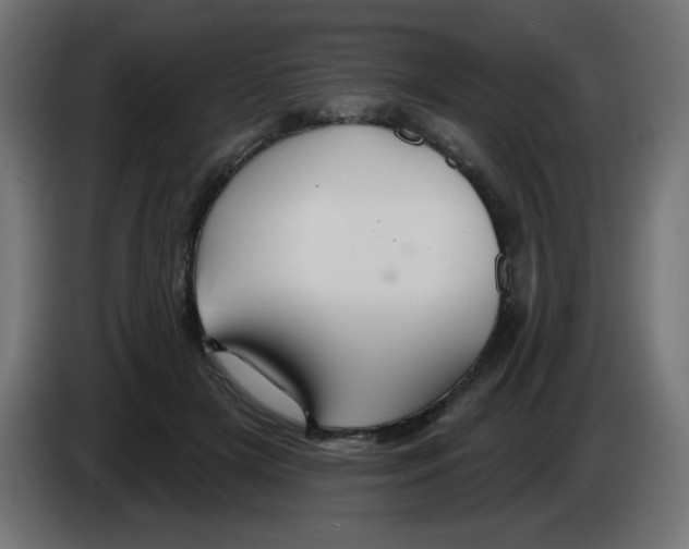 X0000083020505200703022007