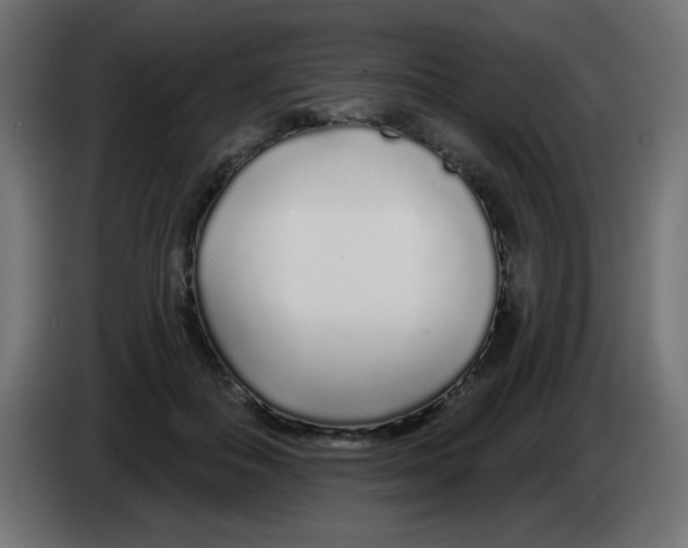 X0000083020506200703022007