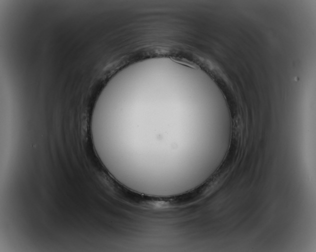 X0000083020509200703022007