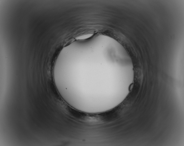 X0000083020510200703022007