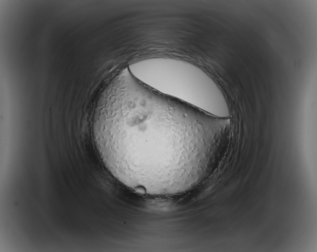 X0000083020511200703022007