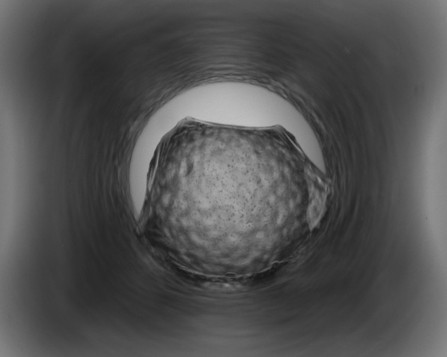 X0000083020512200703022007