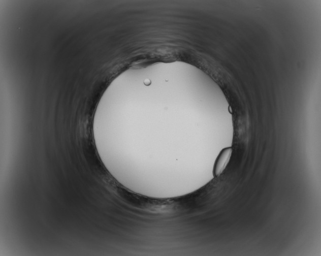 X0000083020514200703022007