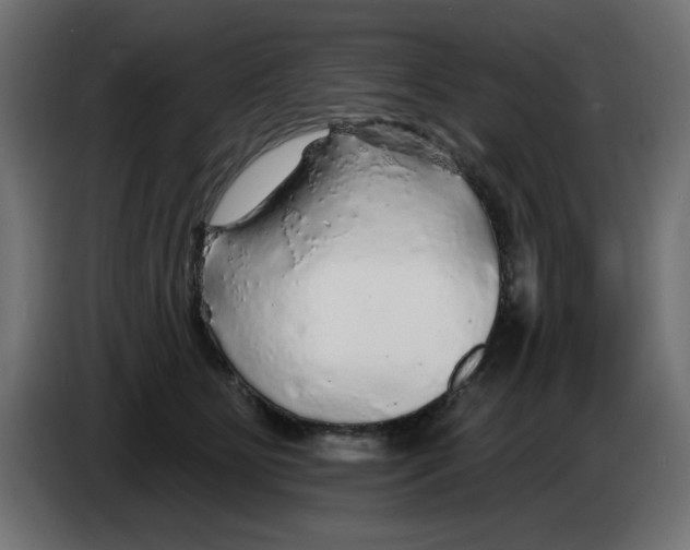 X0000083020515200703022007