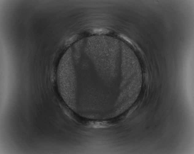 X0000083020517200703022007