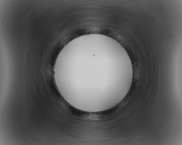 X0000083020518200703022007