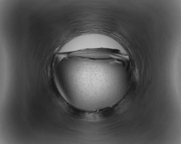 X0000083020520200703022007