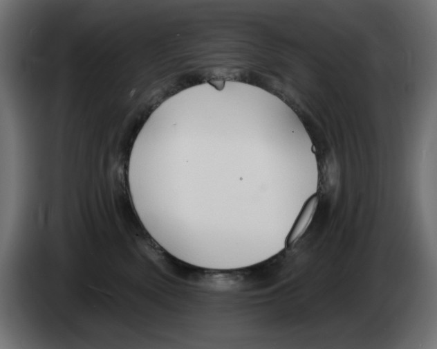 X0000083020522200703022007