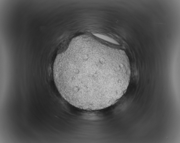 X0000083020523200703022007